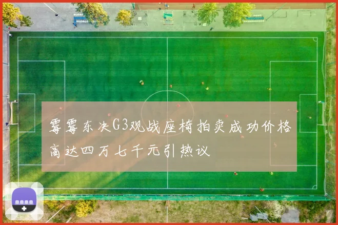 霉霉东决G3观战座椅拍卖成功价格高达四万七千元引热议